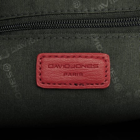 Rucsac dama David Jones B-6619-1 119 Caramiziu [8]
