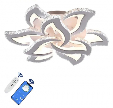 Aplica Led cu Telecomanda 2839 [1]
