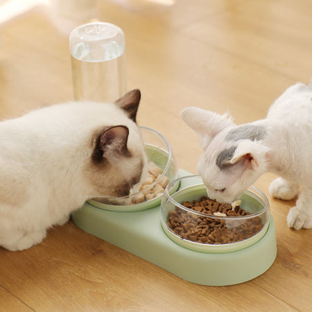 Pet Shop - Vas Dublu Inclinat pentru hranire pisici cu Dispenser Apa, AVX-AG684E