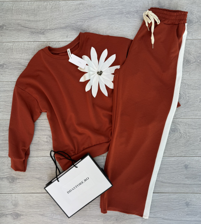 Compleu Floare-caramiziu [3]