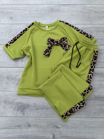 NOUTATI !!! - Compleu Funda - verde