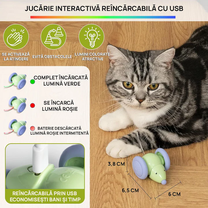 Jucărie Automată Șoricel pentru Pisici, Evitare Obstacole și Mișcări Aleatorii, Roți Mari, Coadă LED RGB, Încărcare USB-C, Design Interactiv pentru Distracție Activă, Culoare Verde [5]