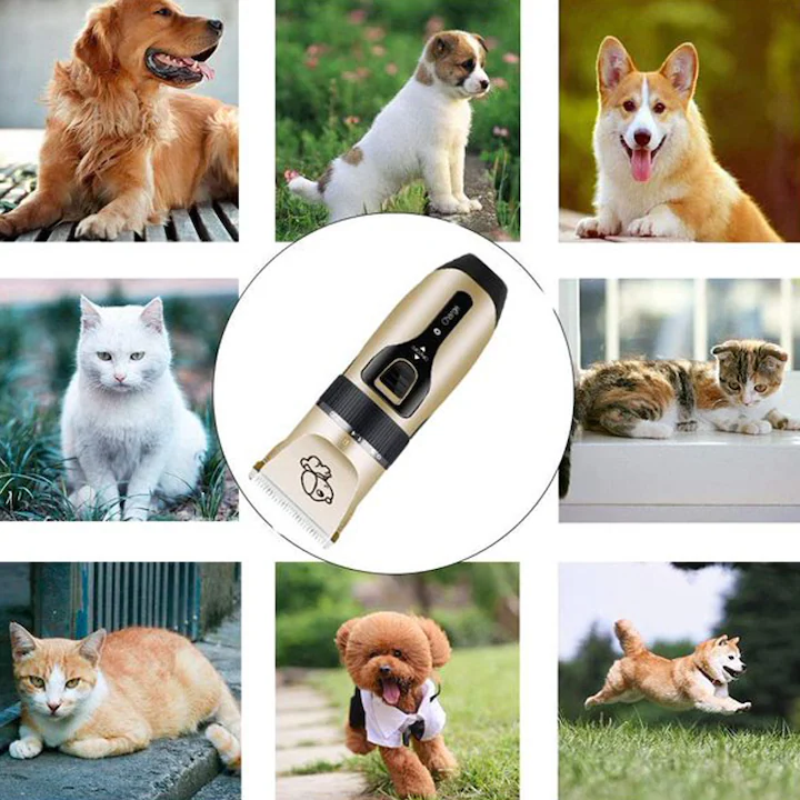 Set mașină tuns animale 12 piese, 9W, fără fir, lame din ceramică și titan, 4 piepteni 3–12 mm, autonomie 90 min, auriu/negru [11]