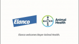 Bayer AH