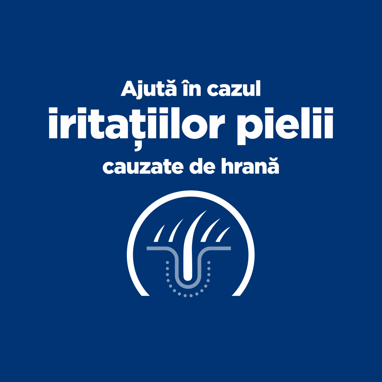 1.5 kg Hill's PD Feline Z/D, hrană uscată dietă veterinară pentru pisici cu probleme dermatologice [8]