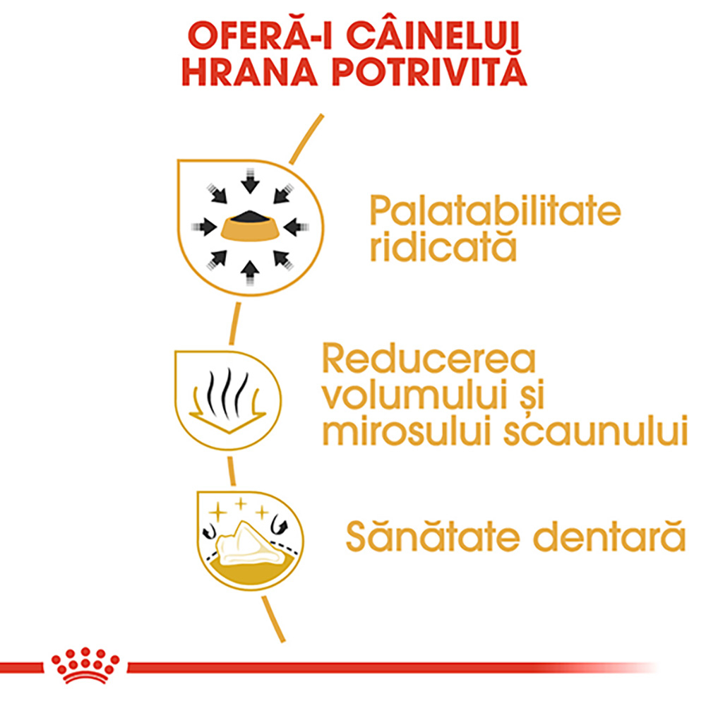 1.5 kg Royal Canin Chihuahua Adult hrana uscata caine [5]