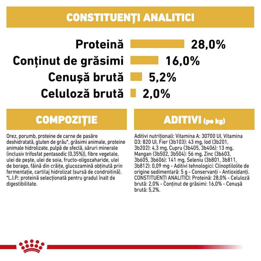 1.5 kg Royal Canin Chihuahua Adult hrana uscata caine [2]