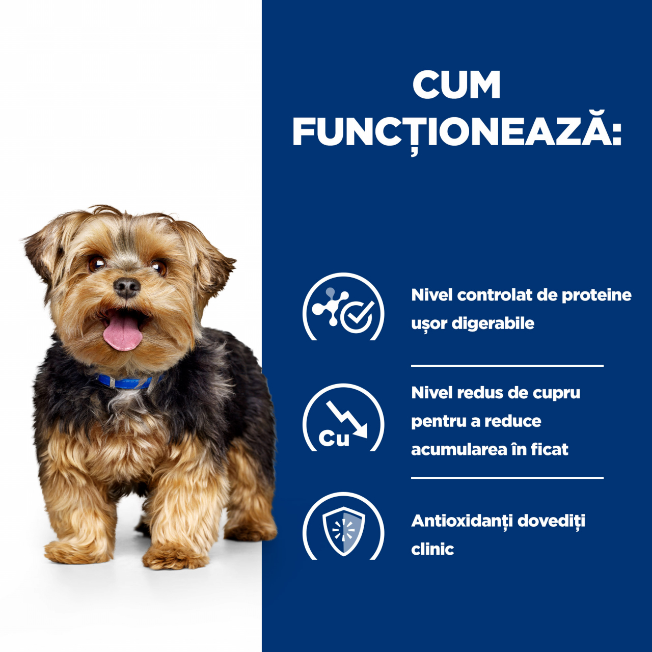 1.5kg Hill's PD Canine L/D , hrană uscată dietă veterinară pentru câini cu probleme hepatice [5]