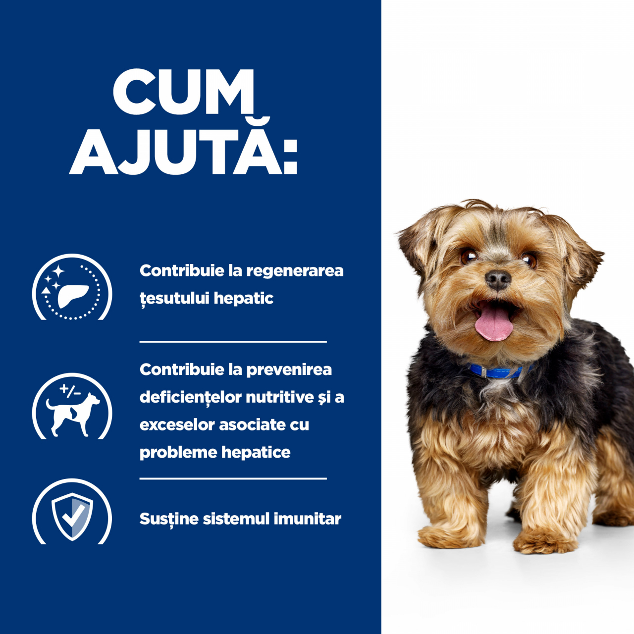 1.5kg Hill's PD Canine L/D , hrană uscată dietă veterinară pentru câini cu probleme hepatice [4]