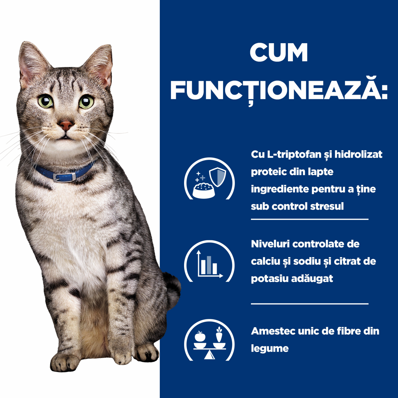 1.5kg Hill's PD Feline C/D Stress + Metabolic, hrană uscată dietă veterinară pentru pisici cu probleme urinare [9]