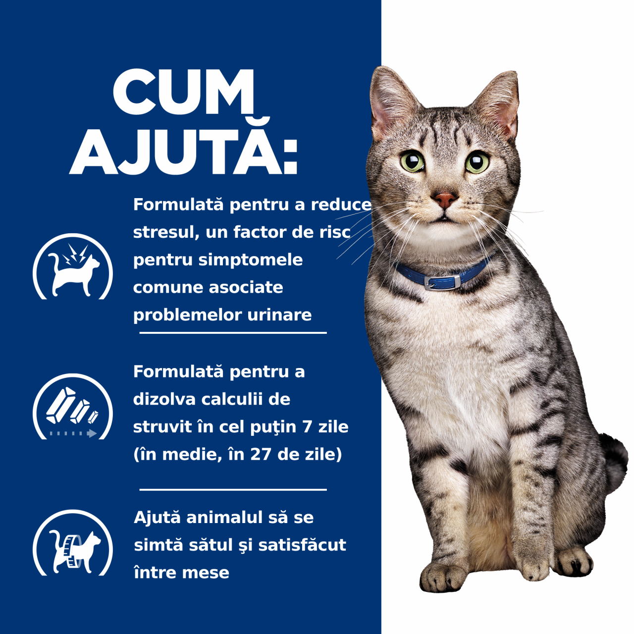 1.5kg Hill's PD Feline C/D Stress + Metabolic, hrană uscată dietă veterinară pentru pisici cu probleme urinare [8]