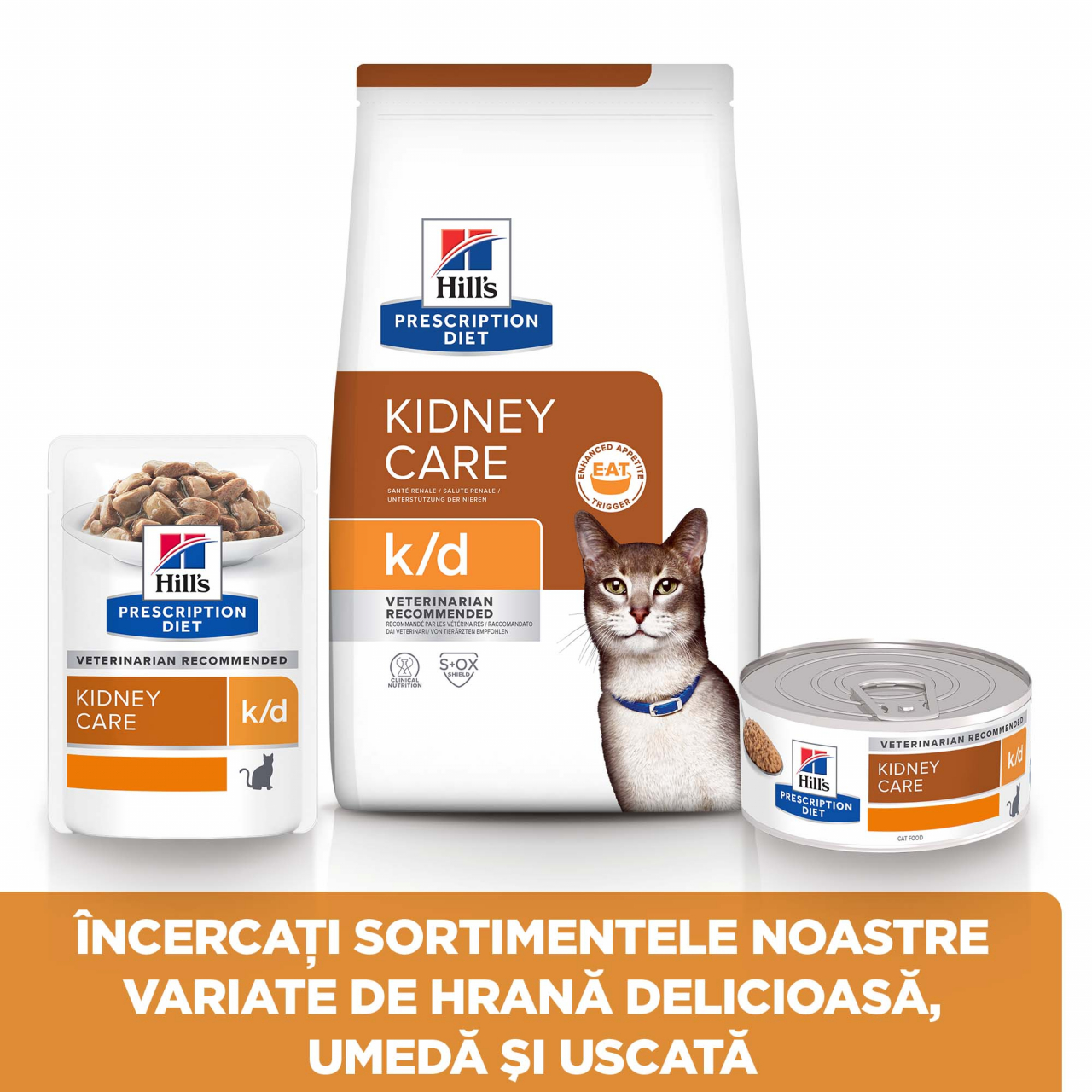 1.5kg Hill's PD Feline K/D, hrană uscată dietă veterinară pentru pisici cu probleme renale [4]