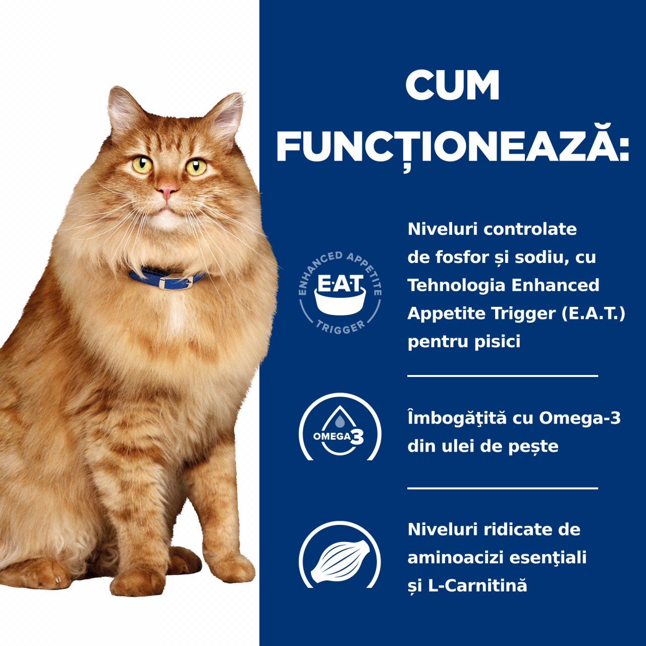 1.5kg Hill's PD Feline K/D + Mobility, hrană uscată dietă veterinară pentru pisici cu probleme renale [9]
