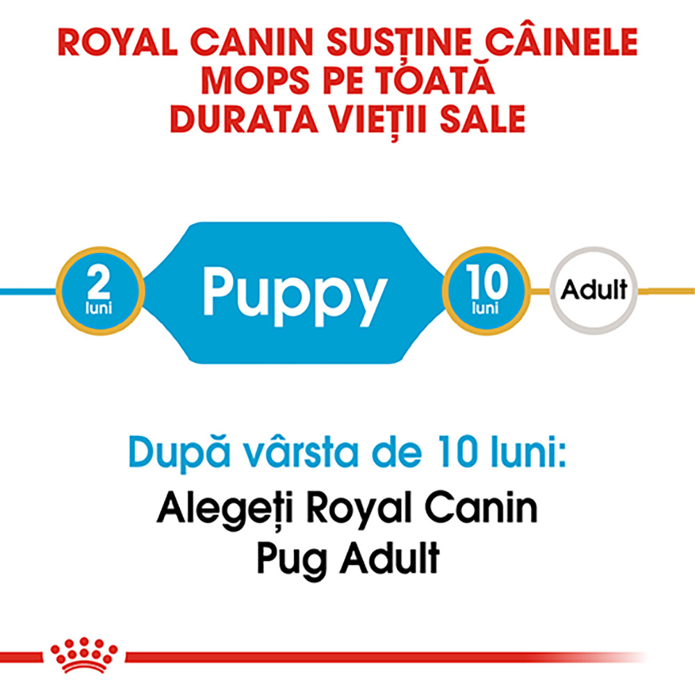 1.5kg Royal Canin Pug Puppy hrana uscata caine junior [3]