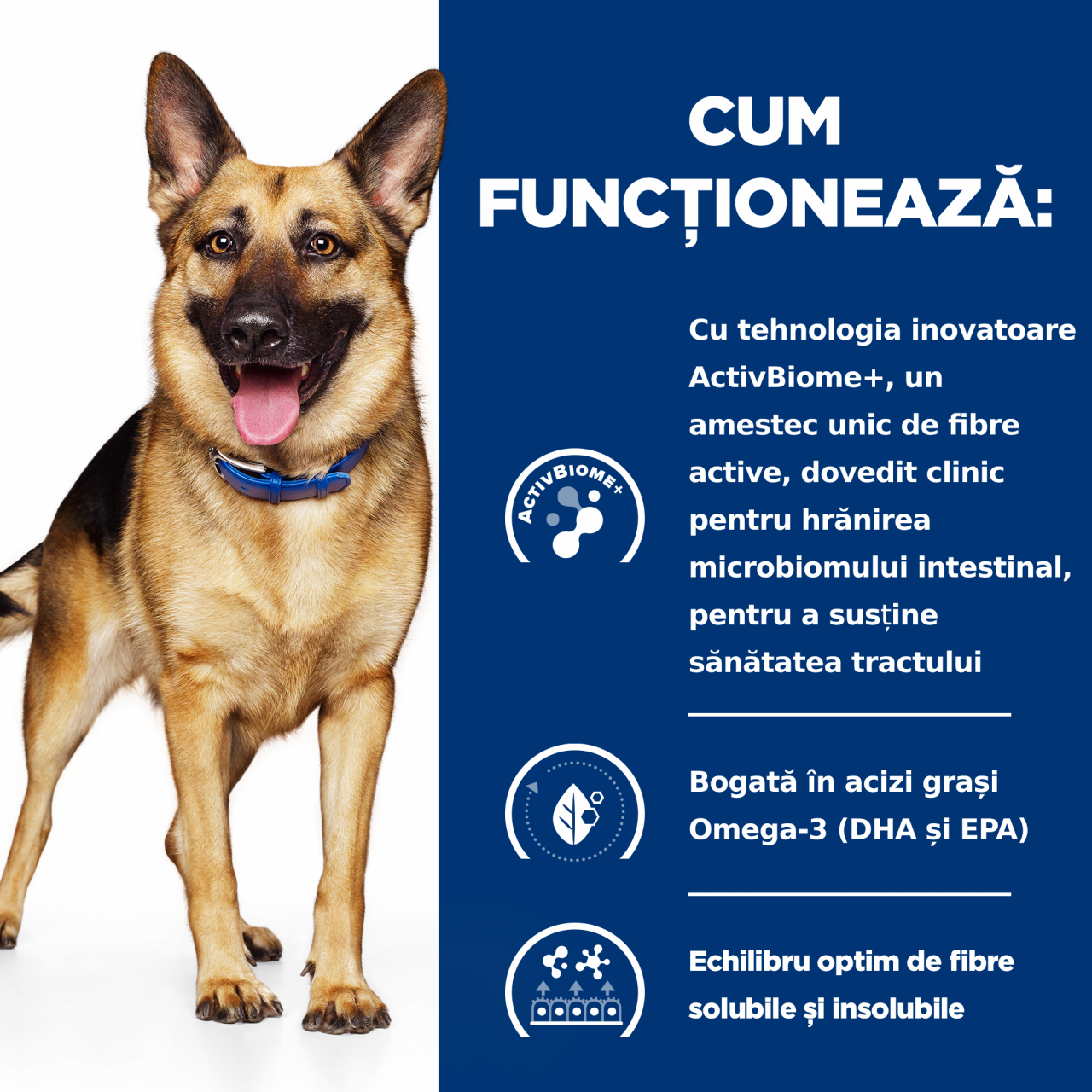 10 kg Hill's PD Canine Gastrointestinal Biome, hrană uscată dietă veterinară pentru câini cu probleme digestive [7]