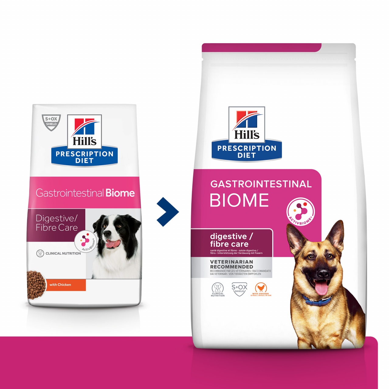 10 kg Hill's PD Canine Gastrointestinal Biome, hrană uscată dietă veterinară pentru câini cu probleme digestive [4]