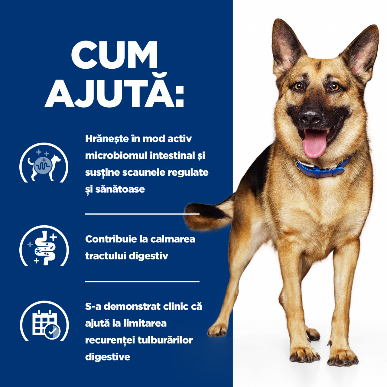 10 kg Hill's PD Canine Gastrointestinal Biome, hrană uscată dietă veterinară pentru câini cu probleme digestive [6]