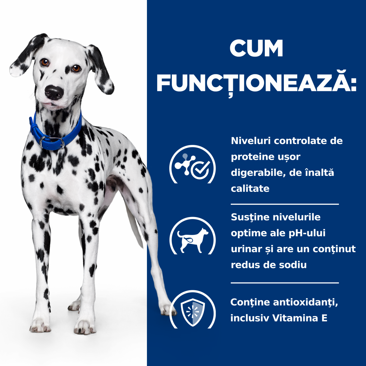 10kg Hill's PD Canine U/D hrană uscată dietă veterinară pentru câini cu probleme urinare [8]