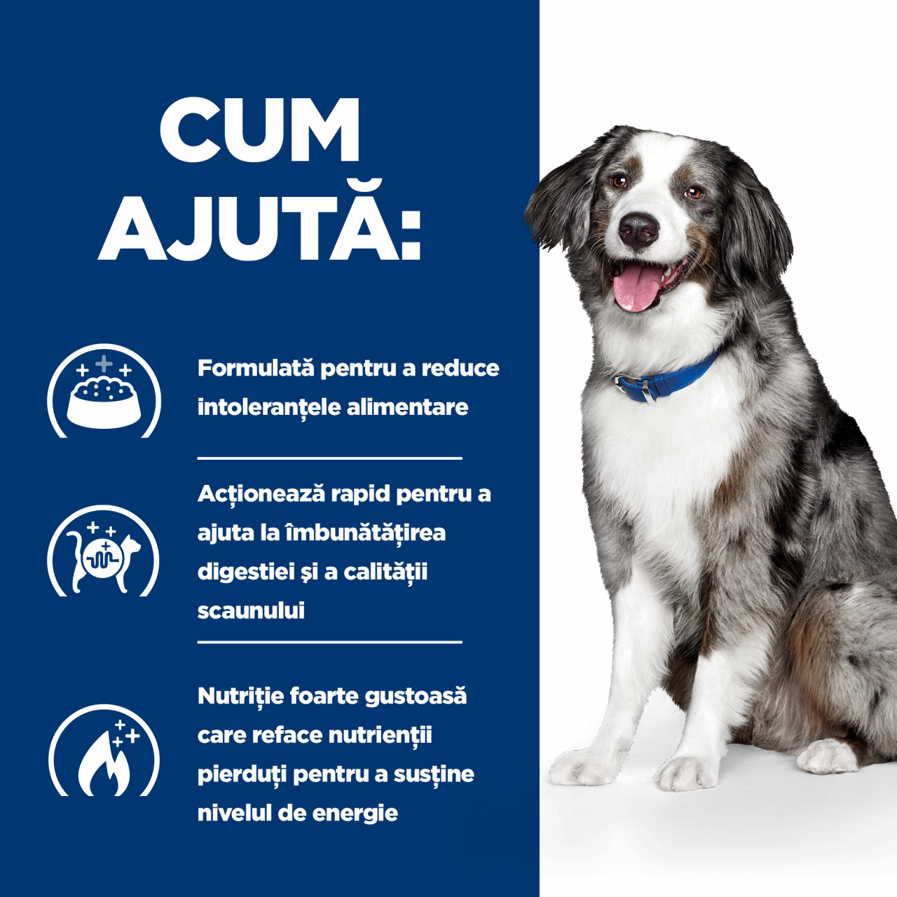12 kg Hill's PD Canine I/D Sensitive, hrană uscată dietă veterinară pentru câini cu probleme digestive [4]