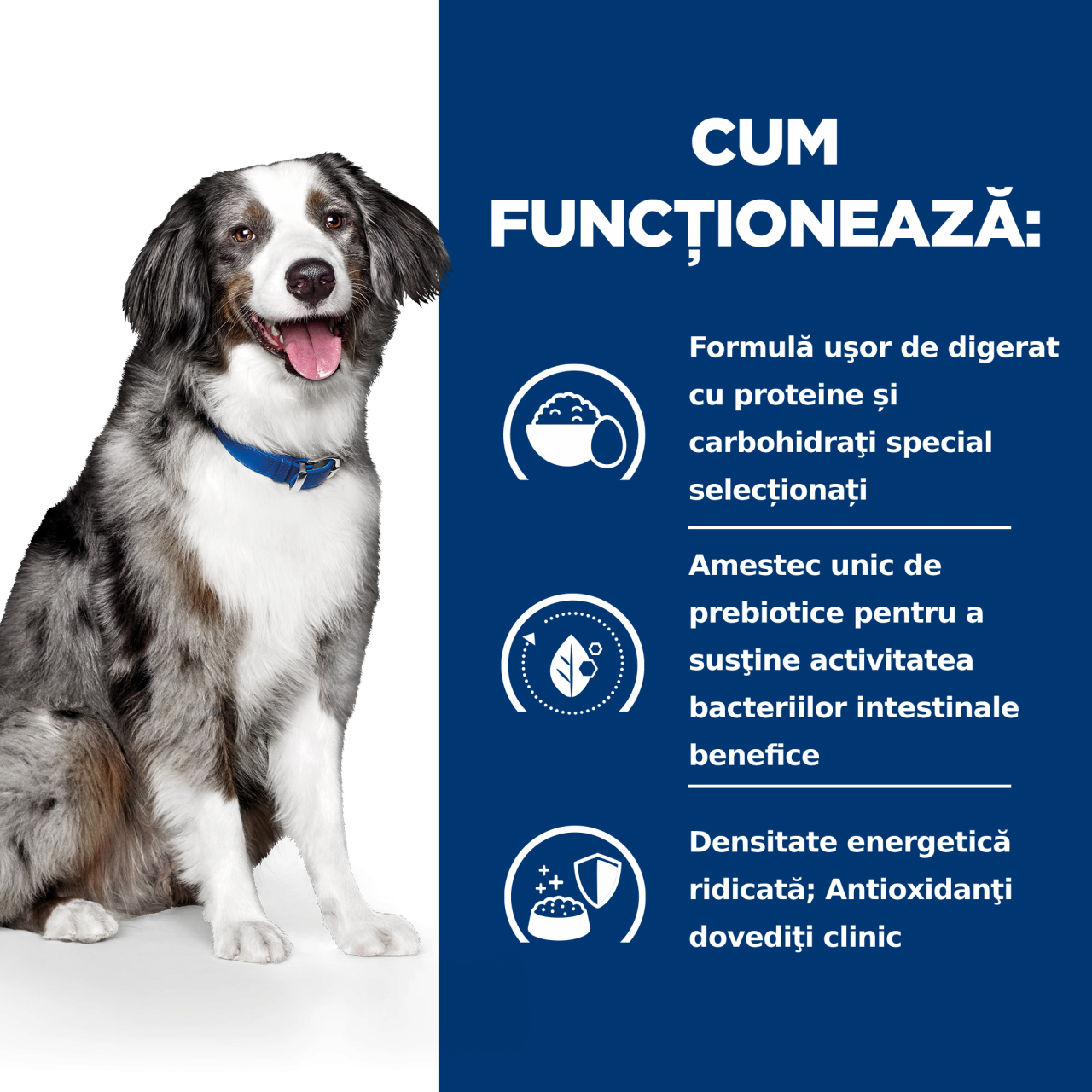 12 kg Hill's PD Canine I/D Sensitive, hrană uscată dietă veterinară pentru câini cu probleme digestive [5]