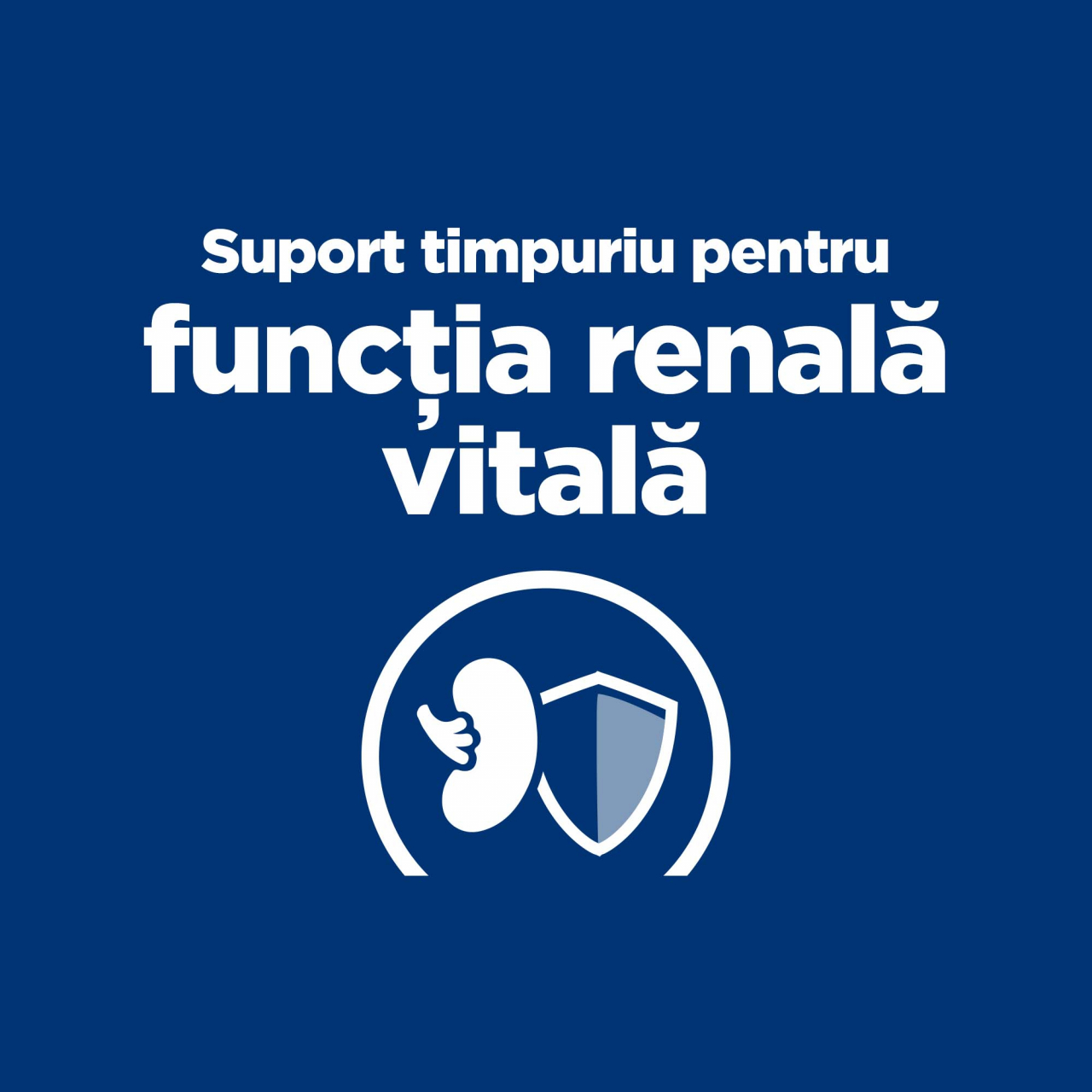 12 kg Hill's PD Canine K/D Early Stage, hrană uscată dietă veterinară pentru câini cu afecțiuni renale [4]