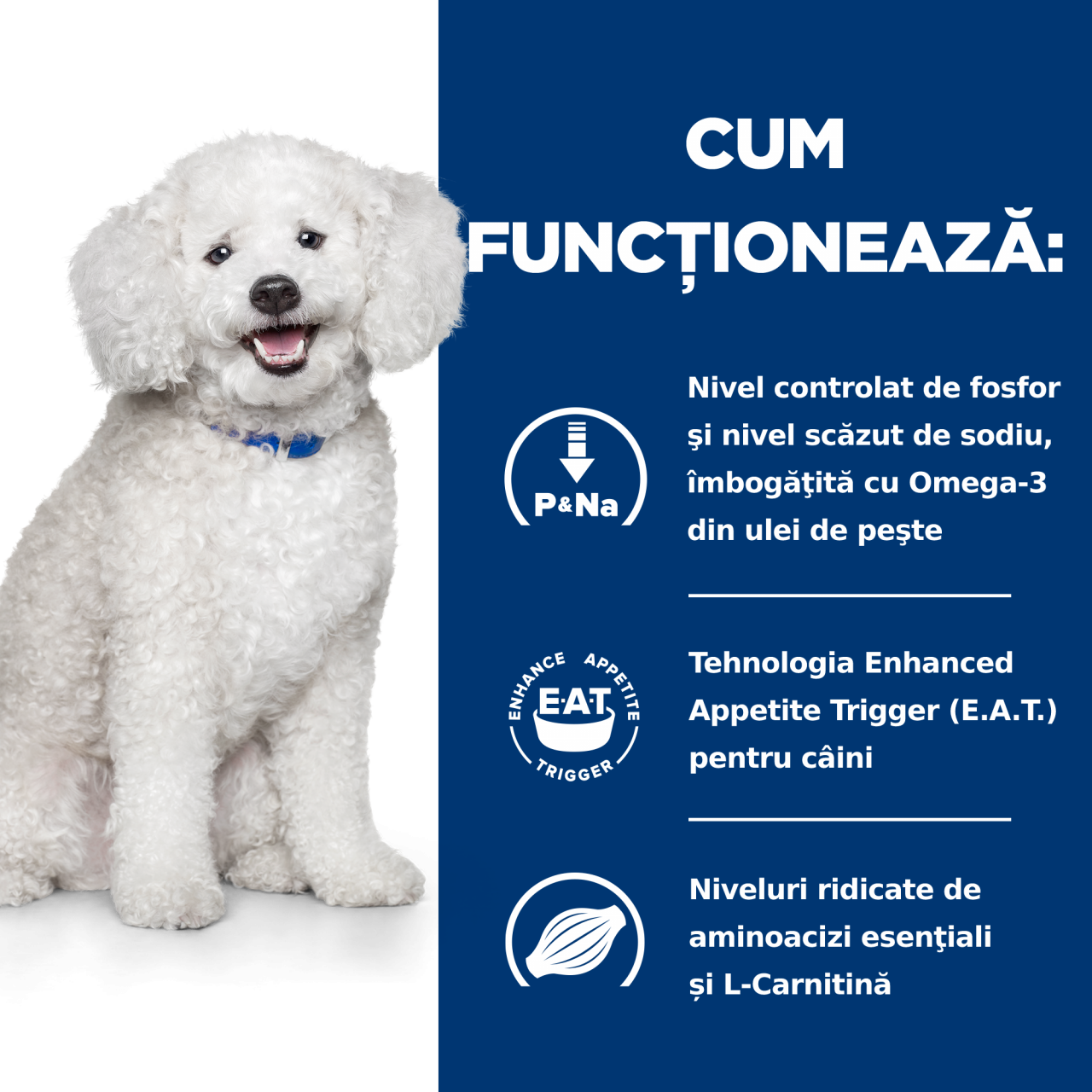 12 kg Hill's PD Canine K/D Early Stage, hrană uscată dietă veterinară pentru câini cu afecțiuni renale [6]
