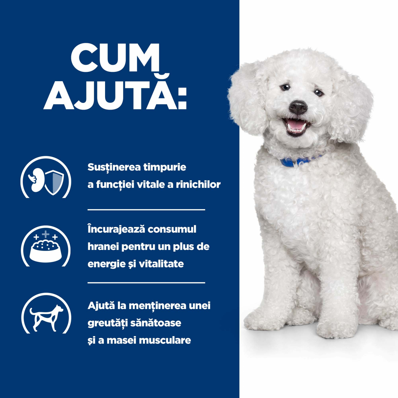 12 kg Hill's PD Canine K/D Early Stage, hrană uscată dietă veterinară pentru câini cu afecțiuni renale [5]