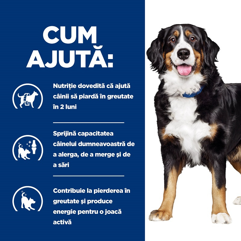 12kg Hill's PD Canine Metabolic Plus Mobility, hrană uscată dietă veterinară pentru câini cu probleme articulare [3]