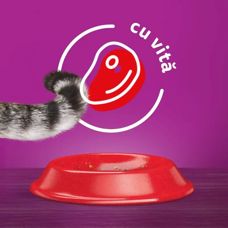 14 kg WHISKAS Hrană uscată pentru pisici 1+ cu carne de vită [4]