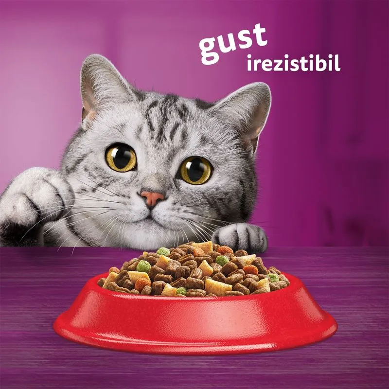 14 kg WHISKAS Hrană uscată pentru pisici 1+ cu carne de vită [3]