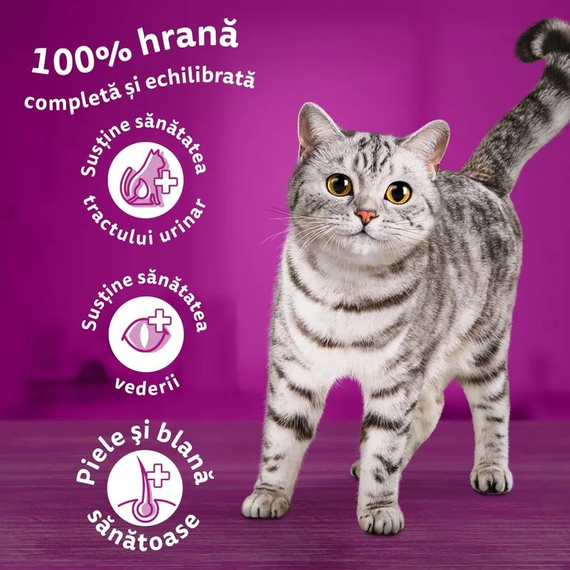 14 kg WHISKAS Hrană uscată pentru pisici 1+ Sterilă cu pui [5]