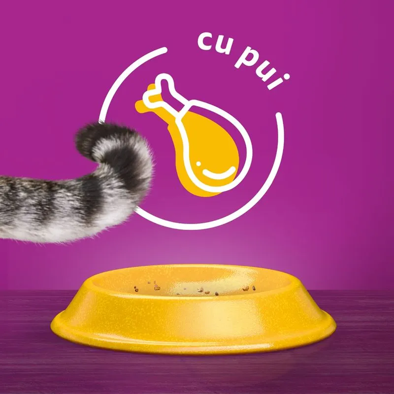 14 kg WHISKAS Hrană uscată pentru pisici 1+ Sterilă cu pui [2]
