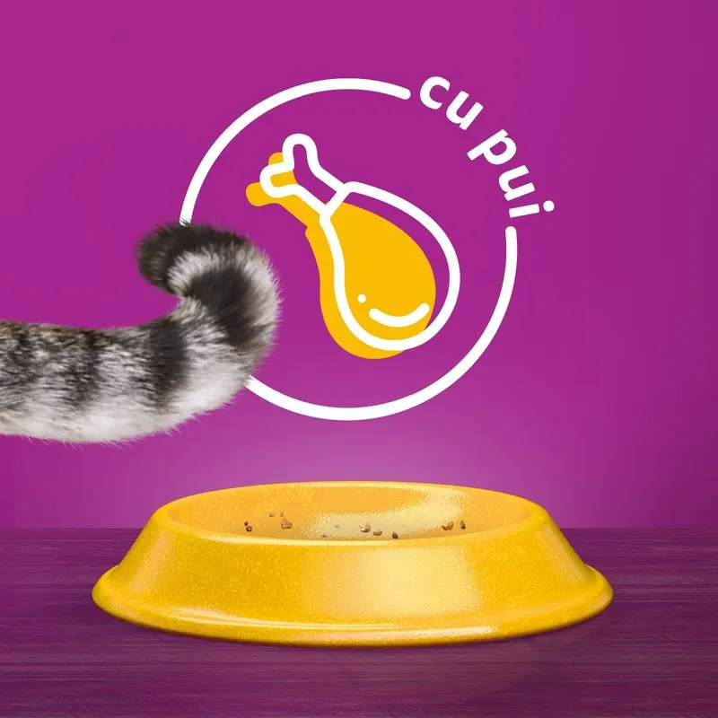 14kg Whiskas cu pui, hrana uscata pentru pisici adulte [3]