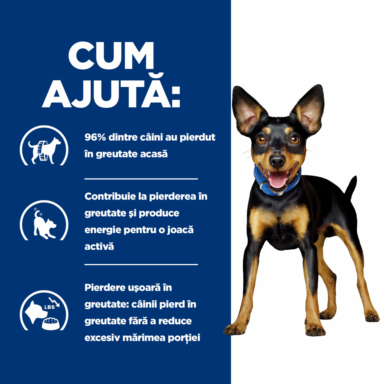 156g Hill's PD Canine Metabolic Chicken & Vegetable Stew, hrană umedă pentru câini cu probleme de greutate [5]