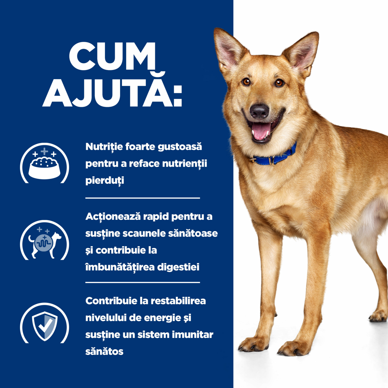 16kg Hills PD i/d  Digestive Care hrana uscată dietă veterinară pentru caini [2]