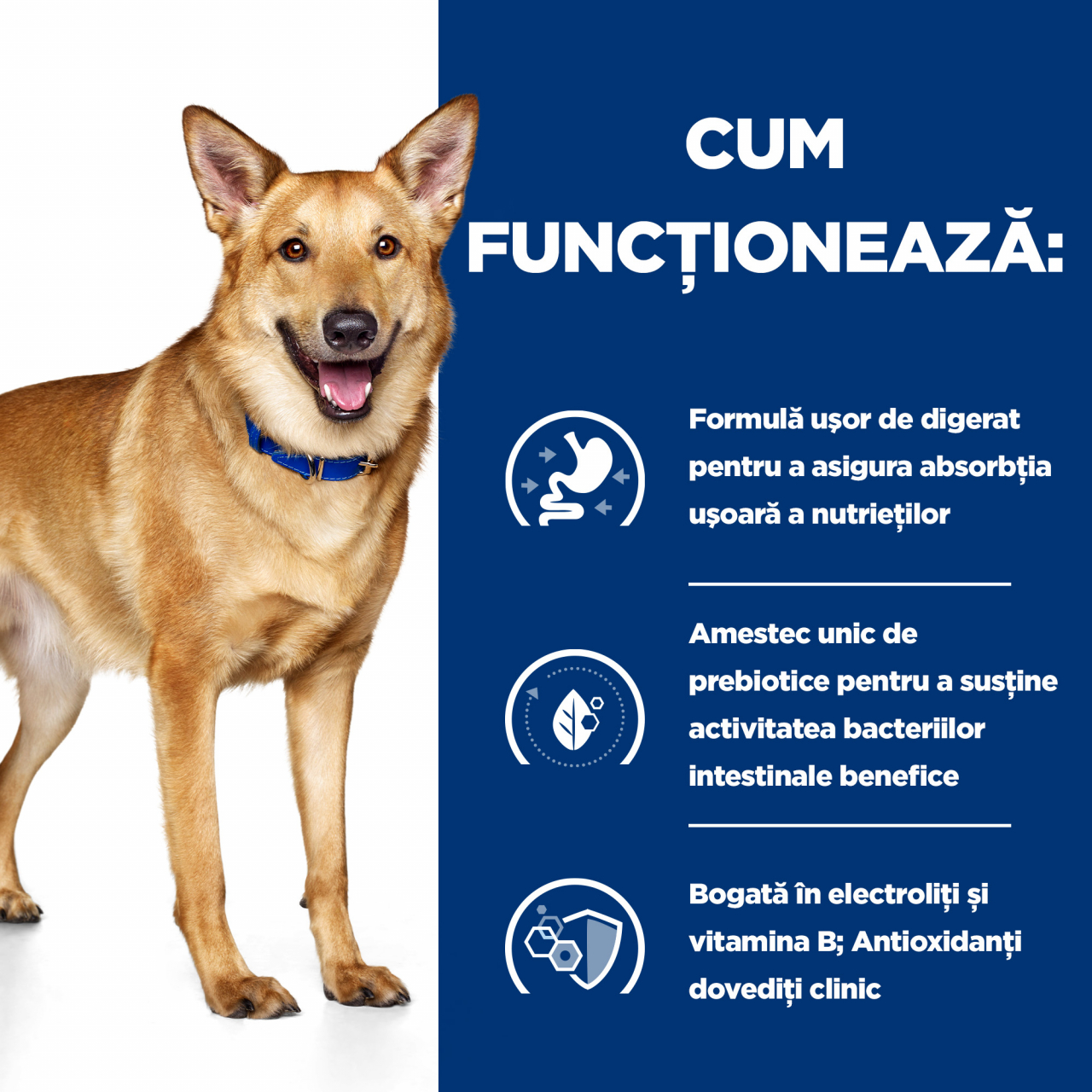 16kg Hills PD i/d  Digestive Care hrana uscată dietă veterinară pentru caini [3]