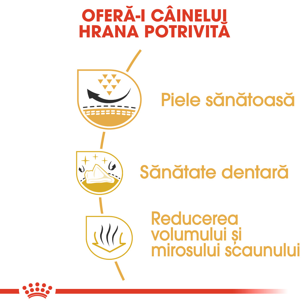 3 kg Royal Canin Shih Tzu Adult hrana uscata caine [5]
