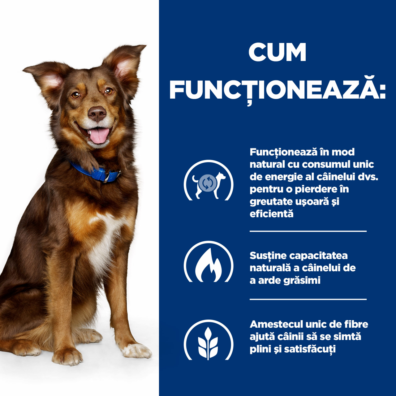 370g Hill’s PD Metabolic Weight Management, hrană umedă dietă veterinară pentru caini cu probleme de greutate [3]