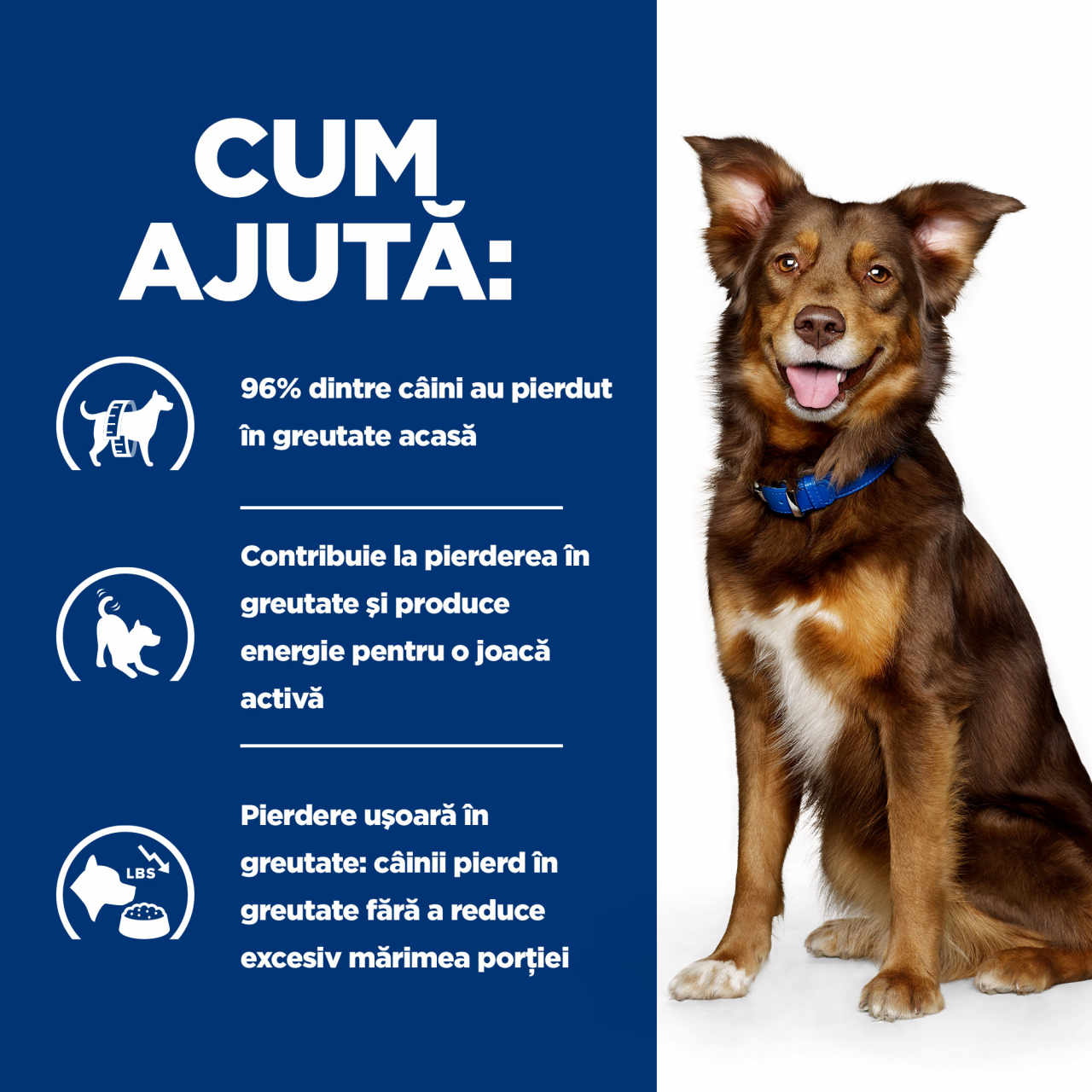 370g Hill’s PD Metabolic Weight Management, hrană umedă dietă veterinară pentru caini cu probleme de greutate [2]