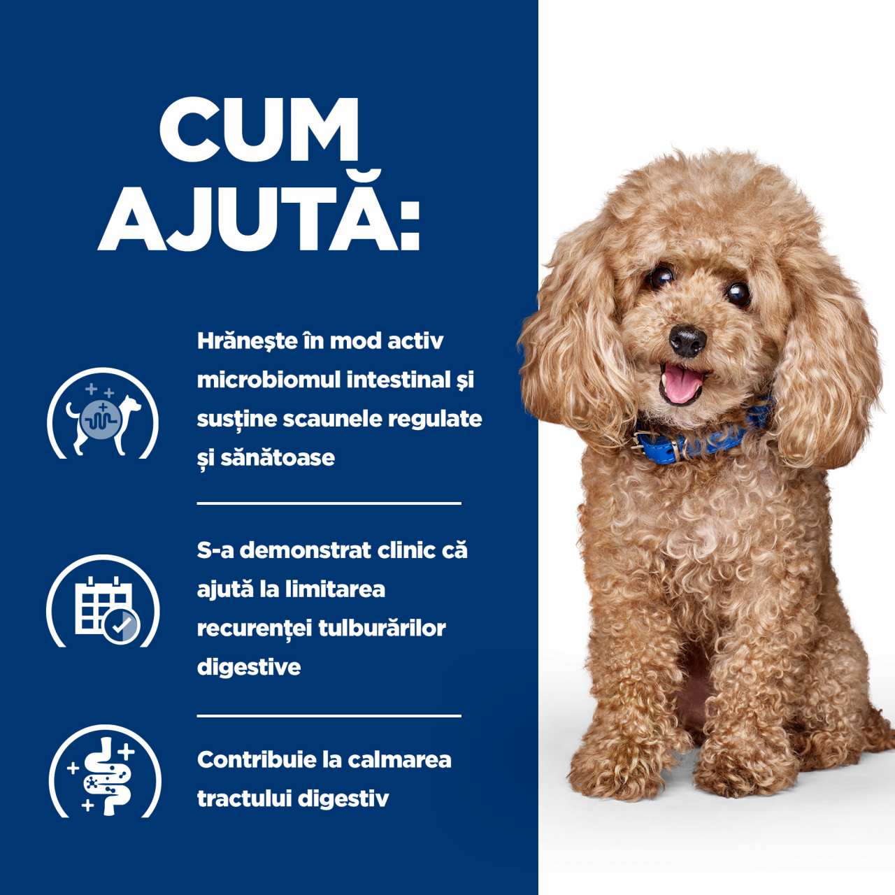 3kg Hill's PD Canine Gastrointestinal Biome Mini, hrană uscată dietă veterinară pentru câini cu probleme digestive [5]