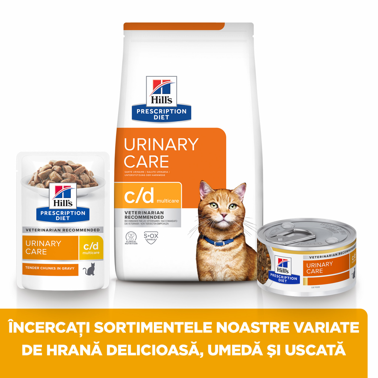 3kg Hill's PD Feline C/D Chicken, hrană uscată dietă veterinară pentru pisici cu probleme urinare [8]