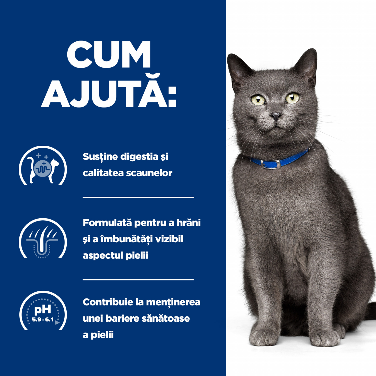 3kg Hill's PD Feline D/D Duck & Pea, hrană uscată dietă veterinară pentru pisici cu probleme dermatologice [5]