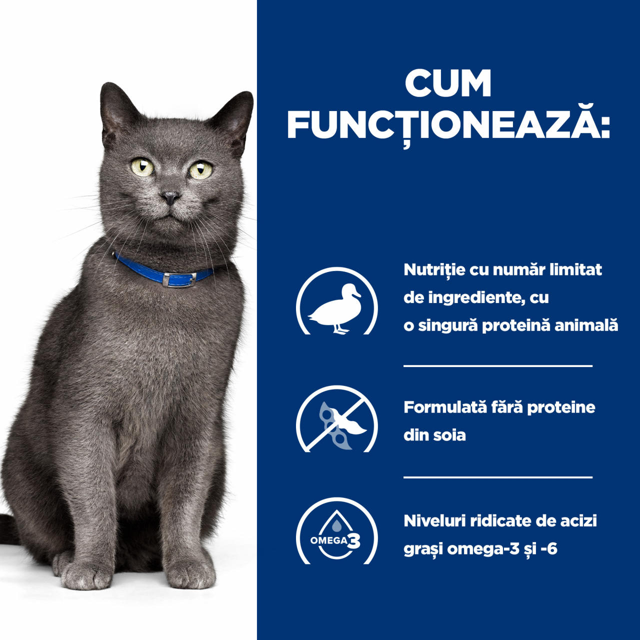 3kg Hill's PD Feline D/D Duck & Pea, hrană uscată dietă veterinară pentru pisici cu probleme dermatologice [6]