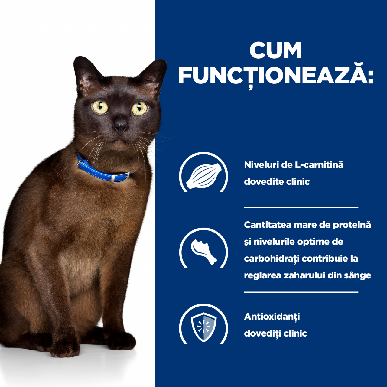 3kg Hill's PD Feline M/D, hrana dieta veterinara pentru pisici, pret special cu livrare gratuita [9]
