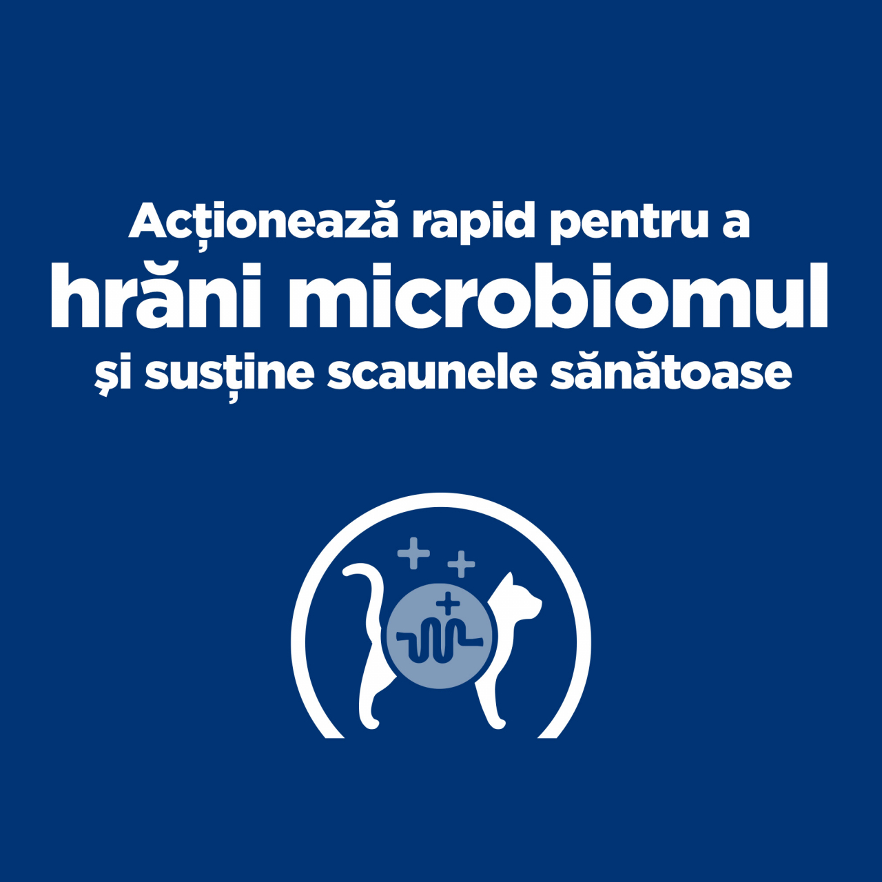 3kg Hill’s PD Gastrointestinal Biome, hrană uscată dietă veterinară pentru pisici cu probleme intestinale [5]