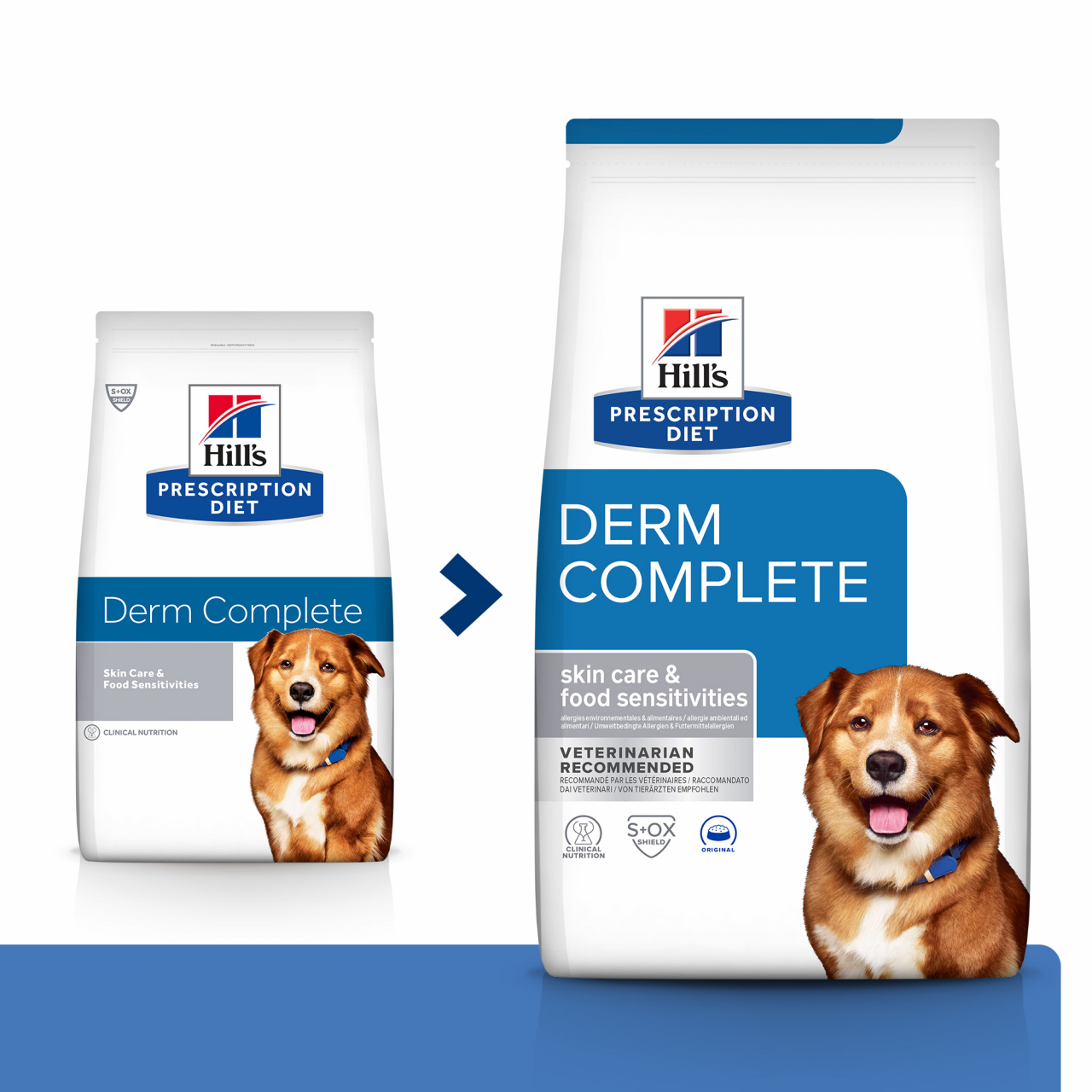 4 kg Hill's PD Canine Derm Complete, hrana dietetica pentru caini cu probleme dermatologice [3]