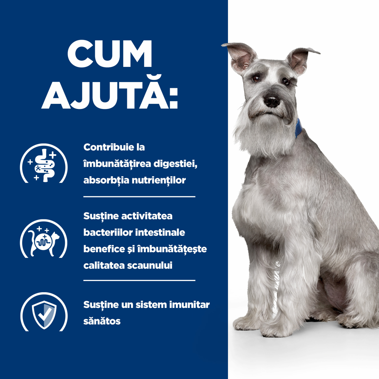 4 kg Hill's PD Canine I/D Low Fat, hrană uscată dietă vetrinară pentru câini cu probleme digestive [4]