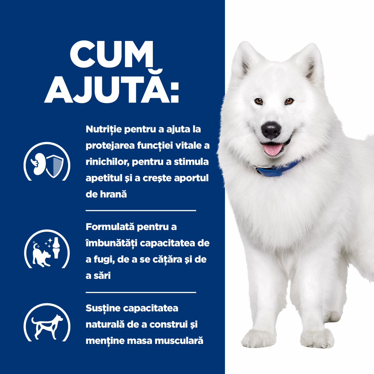 4 kg Hill's PD Canine K/D + Mobility, hrană uscată dietă veterinară pentru câini cu afecțiuni renale si articulare [5]