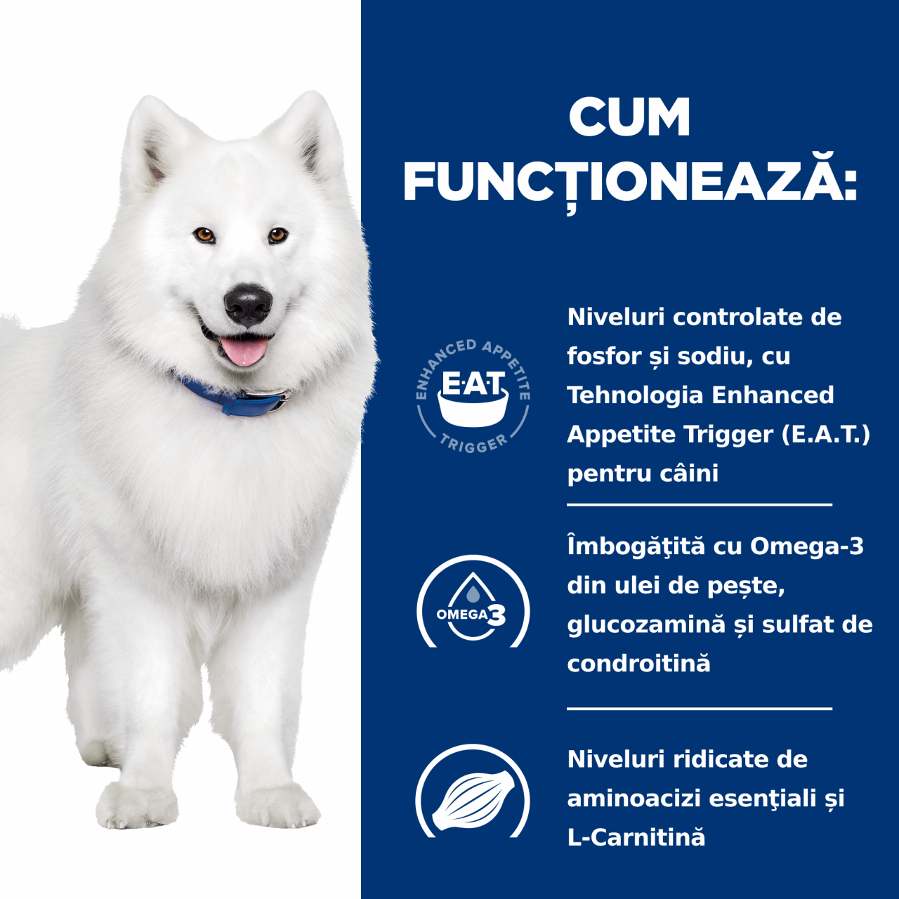 4 kg Hill's PD Canine K/D + Mobility, hrană uscată dietă veterinară pentru câini cu afecțiuni renale si articulare [6]