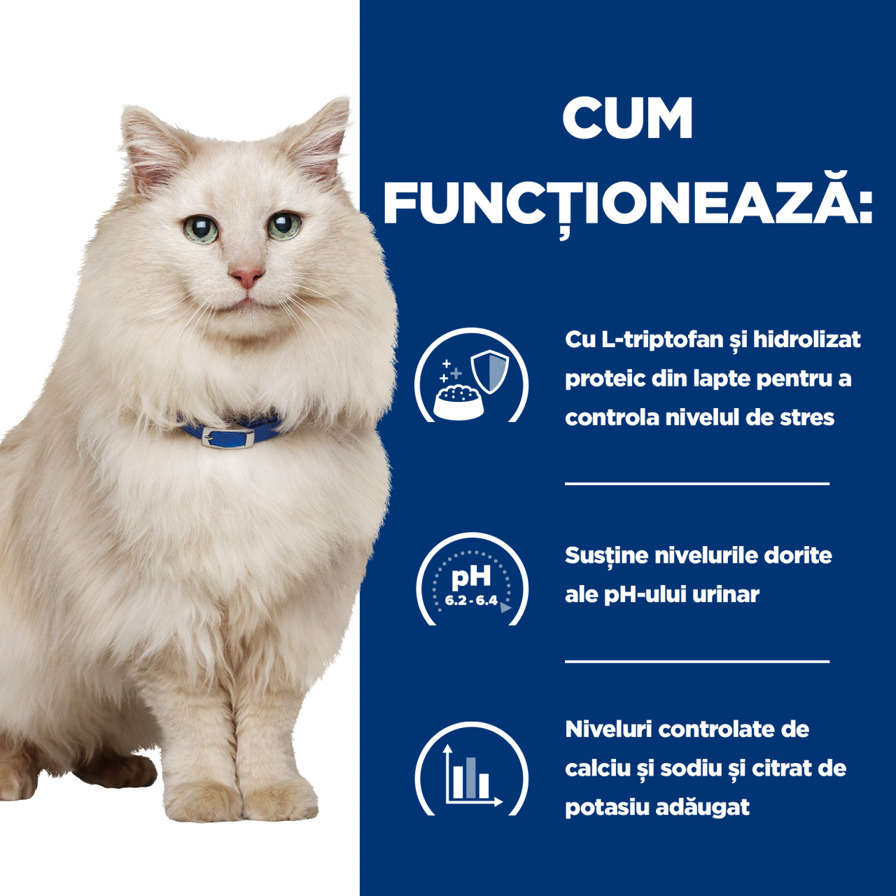 400g Hill's PD Feline C/D Chicken, hrană uscată dietă veterinară pentru pisici cu probleme urinare [10]